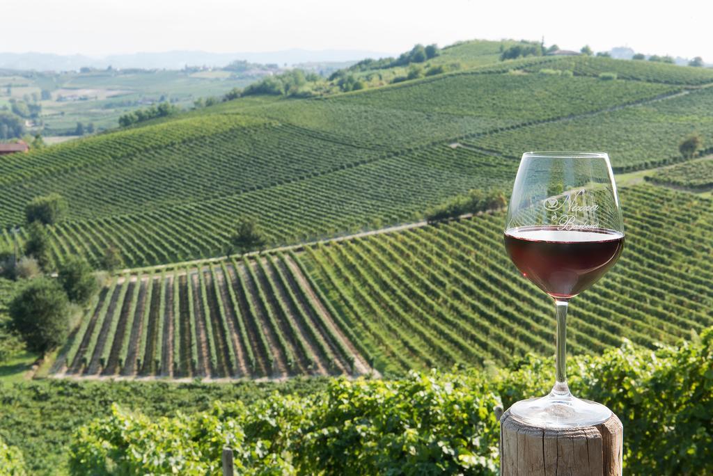 Agriturismo Albarossa Nizza Monferrato Zewnętrze zdjęcie