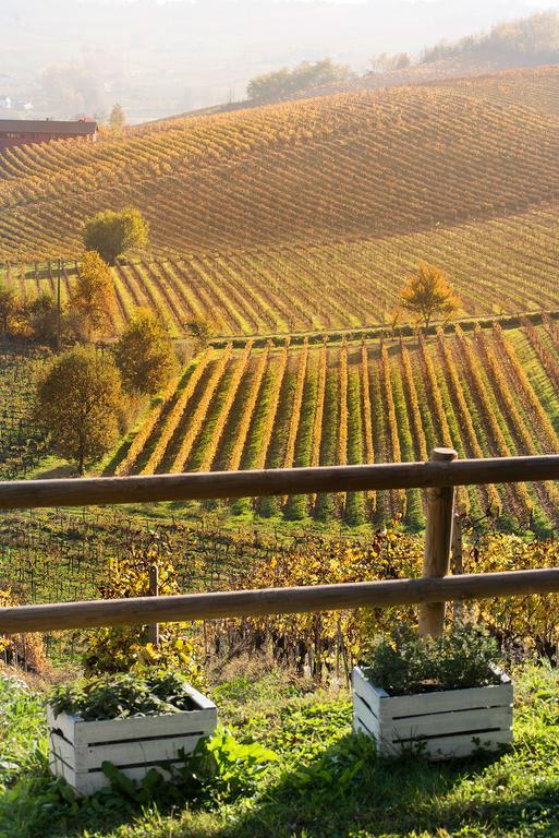 Agriturismo Albarossa Nizza Monferrato Zewnętrze zdjęcie