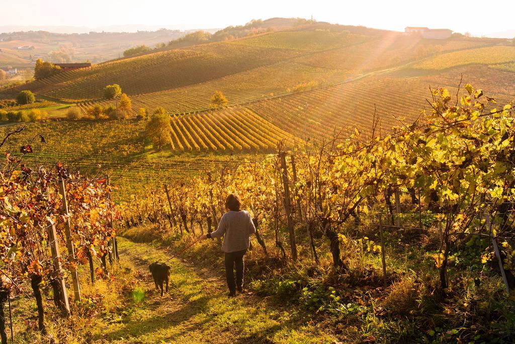 Agriturismo Albarossa Nizza Monferrato Zewnętrze zdjęcie