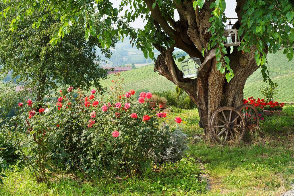 Agriturismo Albarossa Nizza Monferrato Zewnętrze zdjęcie